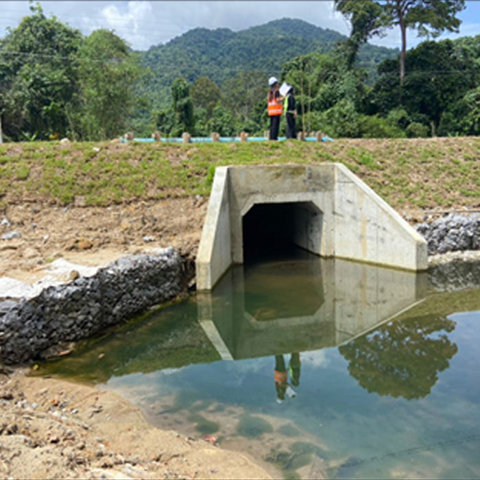 Portland Cement