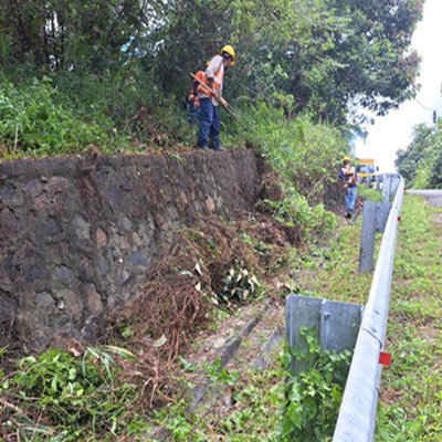 Portland Cement