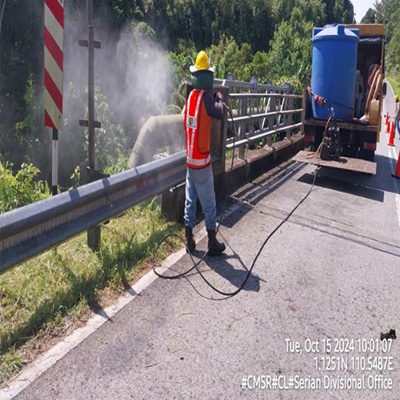 Bridge Maintenance