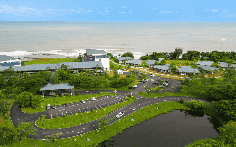 Property Development